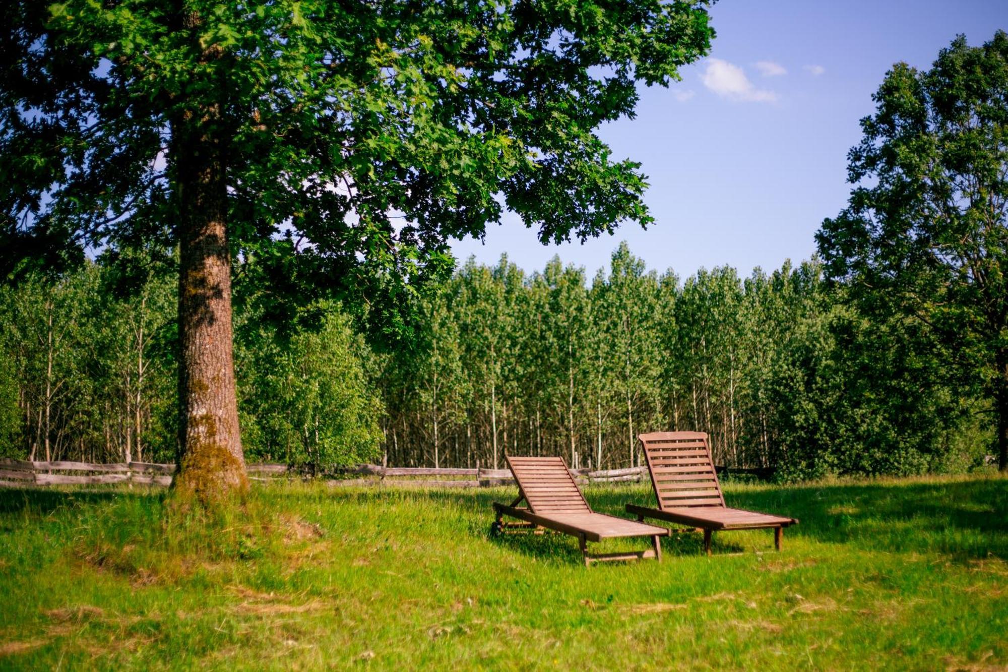 Bed and Breakfast Gościniec Zagaje Zewnętrze zdjęcie